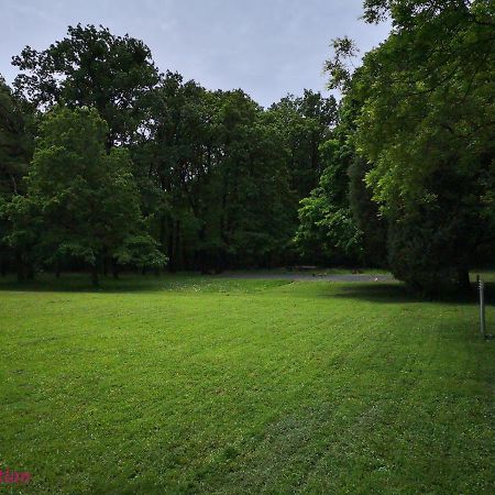 Fészek Apartman Sopron Kültér fotó
